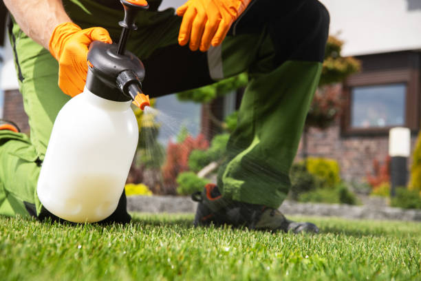 Best Best Pest Control Companies  in Bonneau Beach, SC