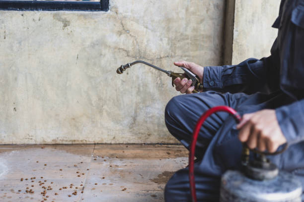 Best Pest Control for Homes  in Bonneau Beach, SC